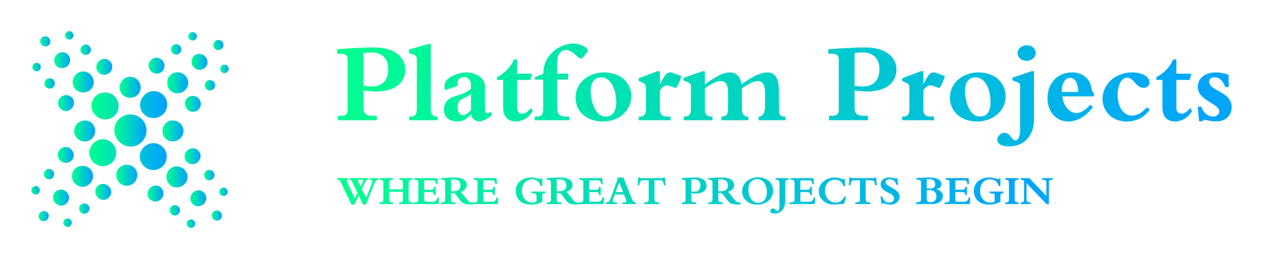 Platform Projects-Digital services, fast delivery, clear results.